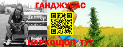 МДПВ Кингисепп