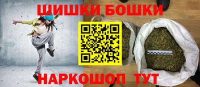 МДПВ Кингисепп