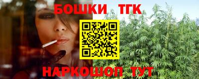 МДПВ Кингисепп