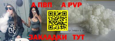 МДПВ Кингисепп
