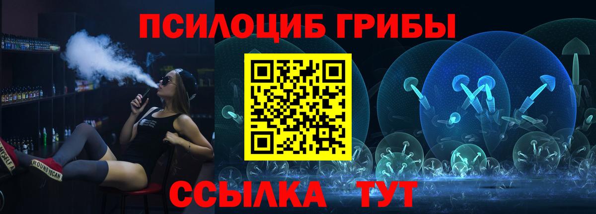Псилоцибиновые грибы Cubensis  Вход с VPN  Курган 