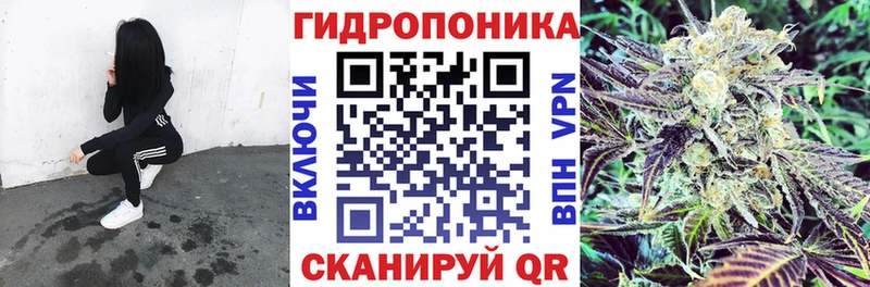 Бошки марихуана планчик  Курган 
